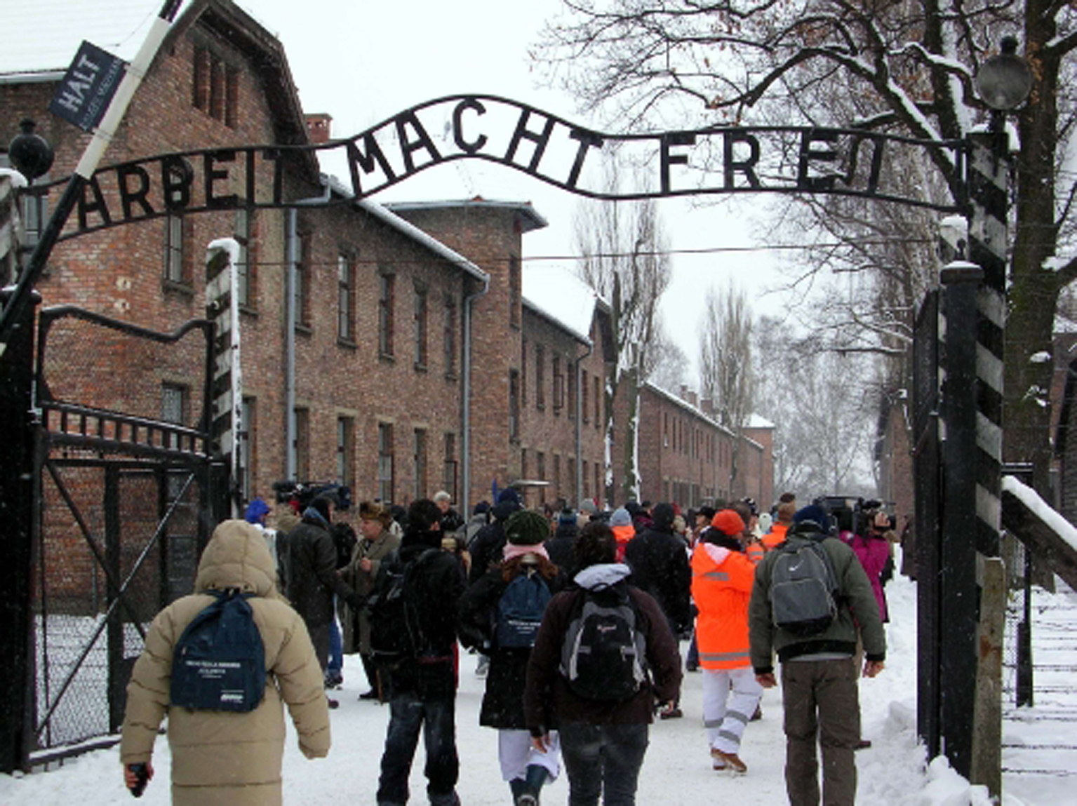 visita auschwitz birkenau 2014